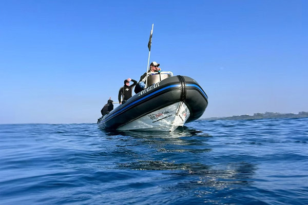 Protea Banks Aliwal Shoal Dive Package